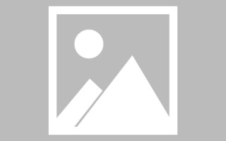 新野初始网页设计是什么（网页的原始）